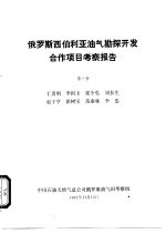 俄罗斯西伯利亚油气勘探开发合作项目考察报告 第1册