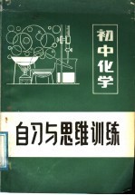 初中化学自习与思维训练