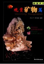 珍宝异石 观赏矿物篇