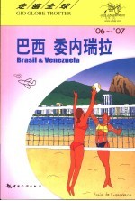 巴西 委内瑞拉 06'-07'