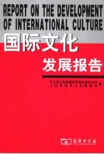 国际文化发展报告