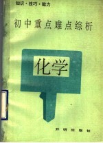 初中重点难点综析 化学