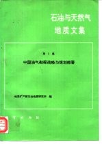石油与天然气地质文集 第5集 中国油气勘探战略与规划部署
