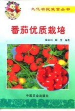 番茄优质栽培
