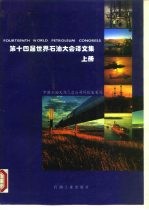 第十四届世界石油大会译文集 上