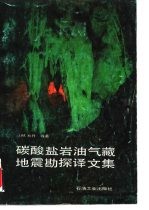 碳酸盐岩油气藏地震勘探译文集