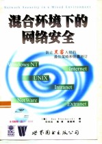 混合环境下的网络安全