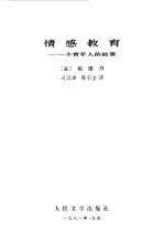 情感教育 一个青年人的故事