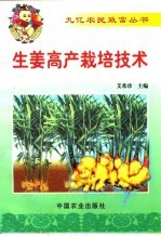 生姜高产栽培技术