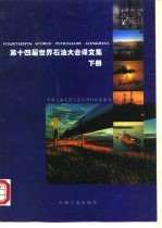 第十四届世界石油大会译文集 下