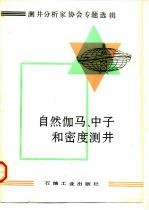 自然伽马、中子和密度测井