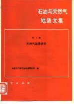 石油与天然气地质文集 第6集 天然气远景评价