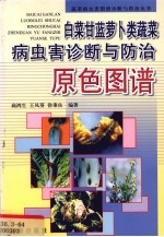 白菜甘蓝萝卜类蔬菜病虫害诊断与防治原色图谱