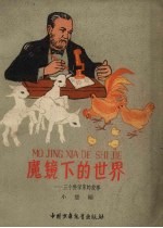 魔镜下的世界 三个科学家的故事