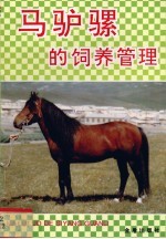马驴骡的饲养管理