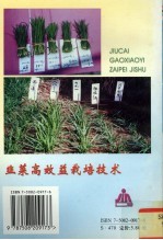 韭菜高效益栽培技术