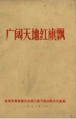广阔天地红旗飘