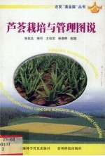 芦荟栽培与管理图说