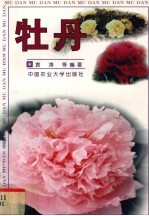 牡丹