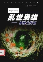乱世枭雄 摩根土丹利