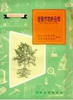 培育作物新品种:交口少年科学院种植活动介绍
