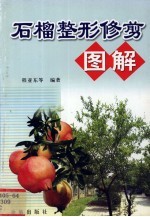 石榴整形修剪图解