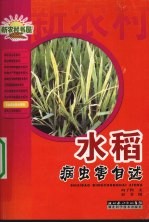水稻病虫害自述