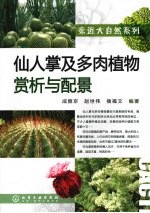 仙人掌及多肉植物赏析与配景