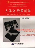 人体X线解剖学