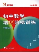 初中数学培优阶梯训练 九年级