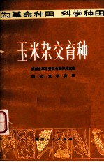 玉米杂交育种