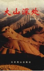 大山深处