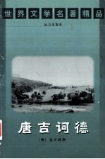 世界文学名著精品 唐吉诃德 下