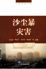 沙尘暴灾害