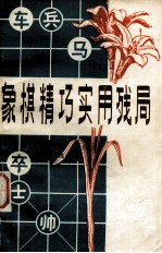 象棋精巧实用残局