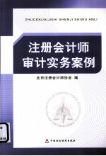 注册会计师审计实务案例