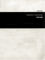 视觉语言丛书 泽田泰广