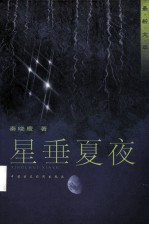 星垂夏夜