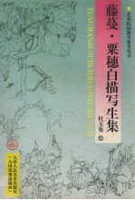 藤蔓·粟穗白描写生集