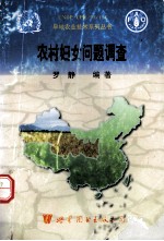 农村妇女问题调查