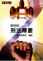 新世纪刑法释要 修订版