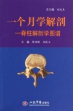 一个月学解剖 脊柱解剖学图谱