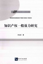 知识产权一般效力研究