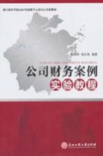 公司财务案例实验教程