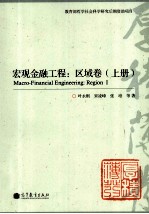 宏观金融工程 区域卷 上