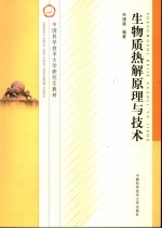 生物质热解原理与技术