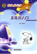 多媒体入门
