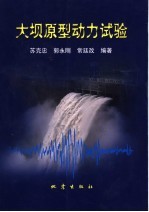 大坝原型动力试验