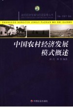 中国农村经济发展模式概述