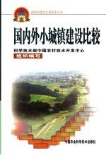国内外小城镇建设比较